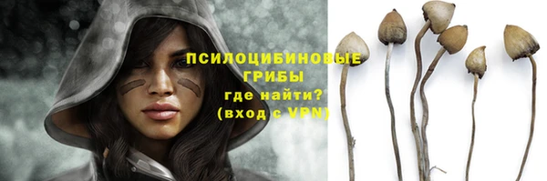 мет Кинешма
