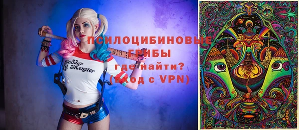 соль ск Кодинск