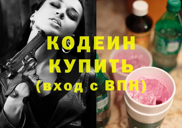 соль ск Кодинск