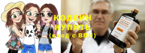 соль ск Кодинск